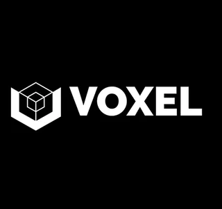 Voxel