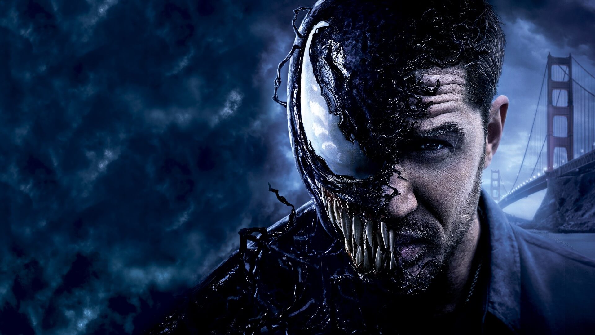O produtor de Venom da Sony afirmou que tem grandes planos para Homem Aranha no Universo CInematografico da Marvel. O que isso pode significar?