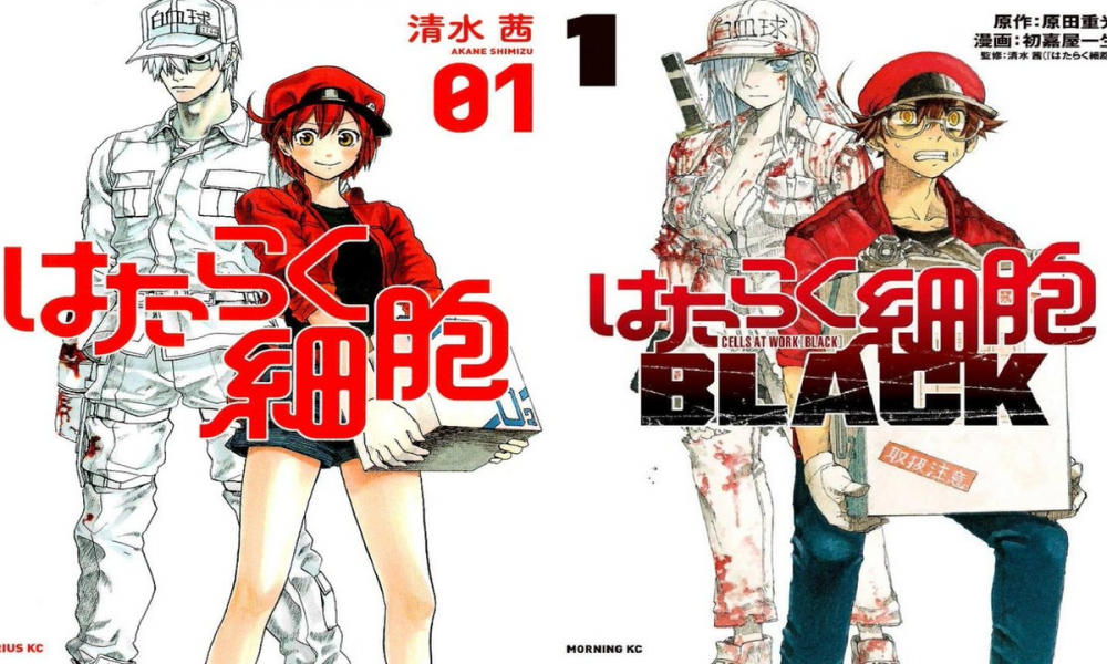 A mais recente edição da revista Morning da Kodansha acaba de confirmar o staff da adaptação para série anime do mangá spinoff Cells at Work! Code Black.