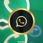 WhatsApp Premium | Aplicativo pago tem os primeiros detalhes revelados 2024 Portal Viciados