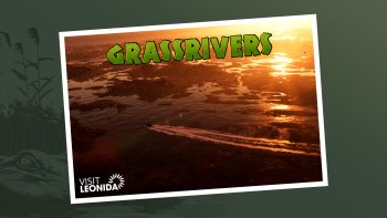 Grassrivers cartão-postal