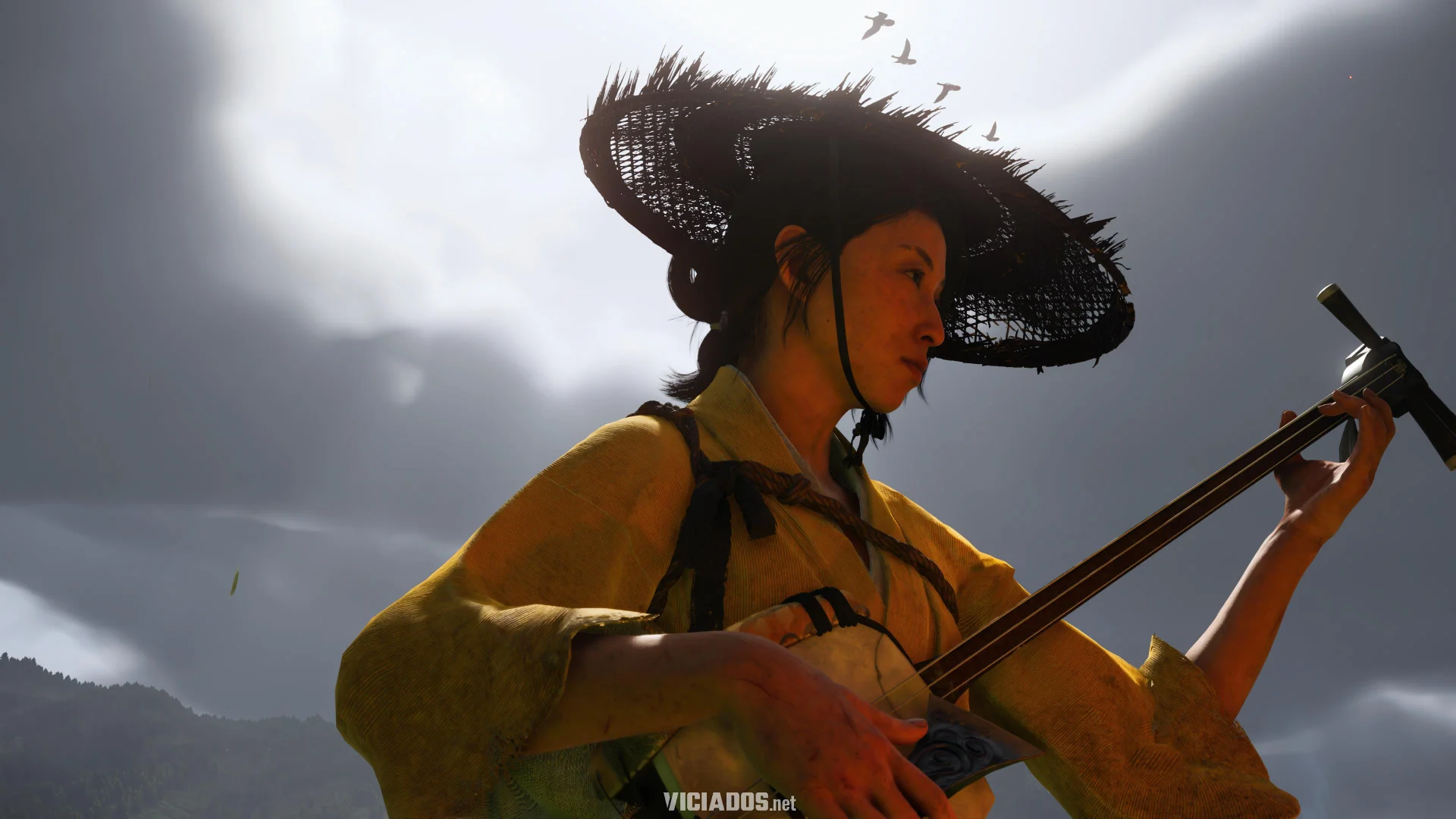 ghost of yotei photo mode modo foto ps5 viciados 006