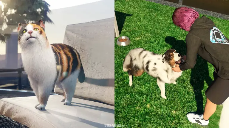 GTA Online Grand Theft Auto 5 Cachorro Cao Gato Animal de estimacao 2026