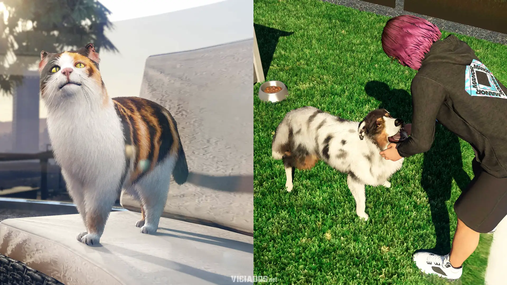 GTA Online Grand Theft Auto 5 Cachorro Cao Gato Animal de estimacao 2026