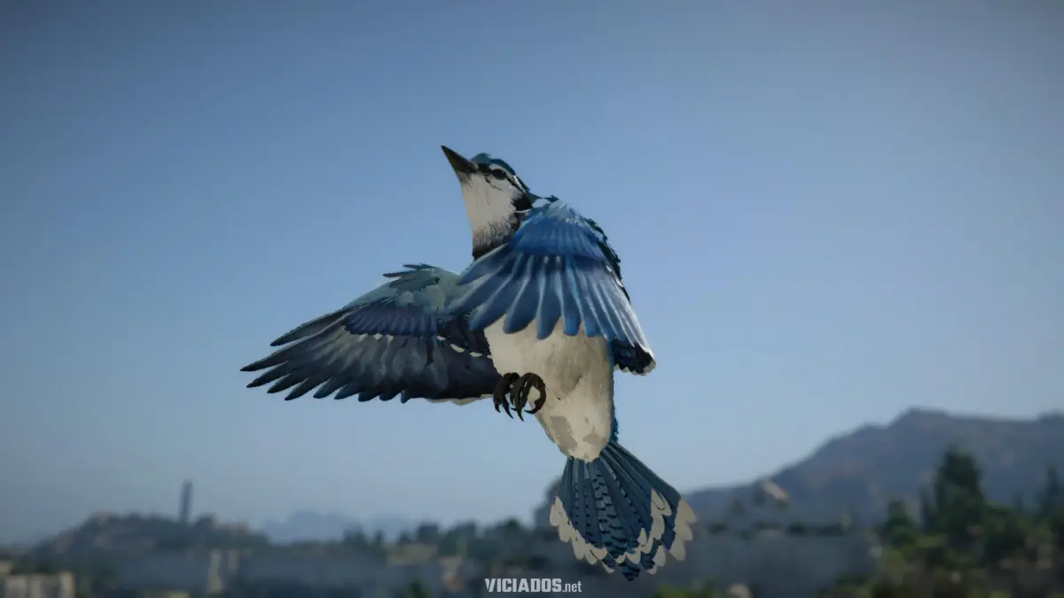 Crimson Desert Review Portal Viciados Rafael PS5 Blue Bird