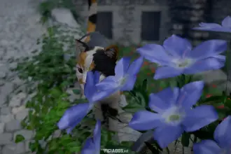 Crimson Desert Review Portal Viciados Rafael PS5 Cat Photo Mode