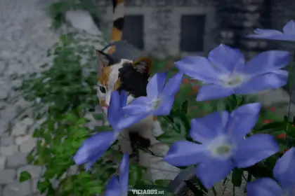 Crimson Desert Review Portal Viciados Rafael PS5 Cat Photo Mode