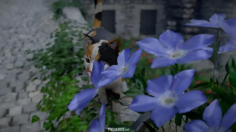 Crimson Desert: Detalhes do mundo aberto fazem dele o “Red Dead Redemption medieval” 14 Crimson Desert Review Portal Viciados Rafael PS5 Cat Photo Mode