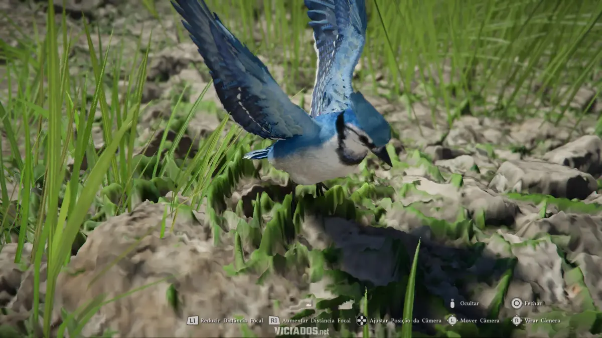 Crimson Desert Review Portal Viciados Rafael PS5 Photo Mode Glitch