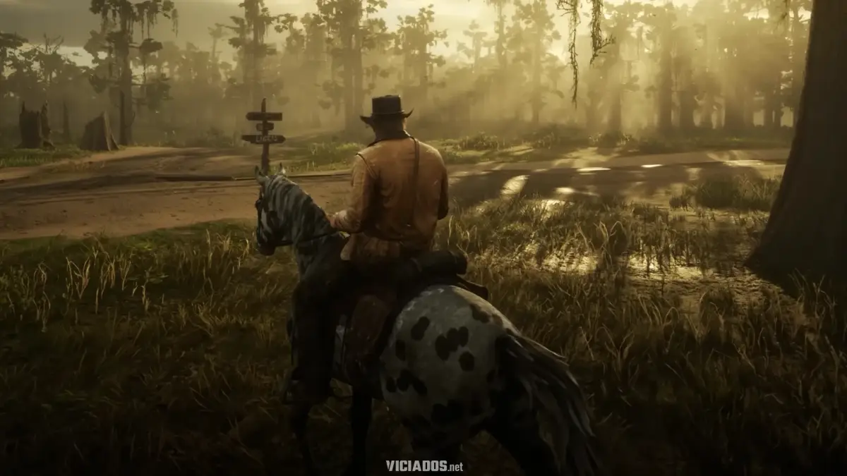 Red Dead Redemption 2 Arthur Morgan Rockstar Games 2027