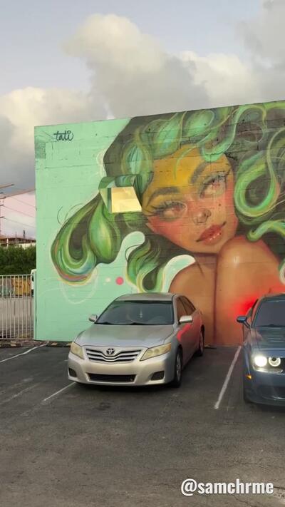 Mural de Tatiana Suarez, em Wynwood (vídeo 4 de @samchrme)