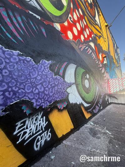 Mural dos olhos, de Enjoy Denial, em Wynwood (foto 2 de @samchrme)