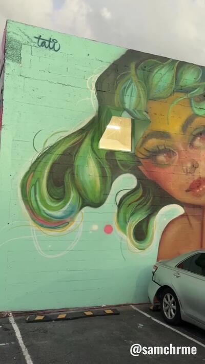 Mural de Tatiana Suarez, em Wynwood (vídeo 5 de @samchrme)