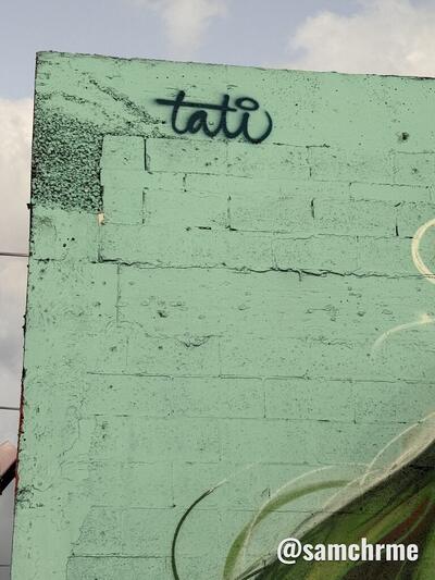 Mural de Tatiana Suarez, em Wynwood (foto 3 de @samchrme)