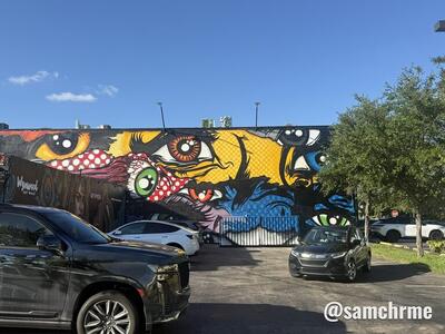 Mural dos olhos, de Enjoy Denial, em Wynwood (foto 3 de @samchrme)