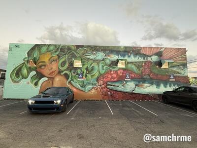 Mural de Tatiana Suarez, em Wynwood (foto 1 de @samchrme)