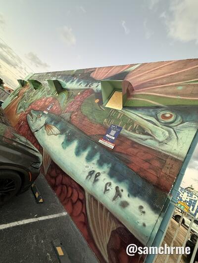 Mural de Tatiana Suarez, em Wynwood (foto 2 de @samchrme)