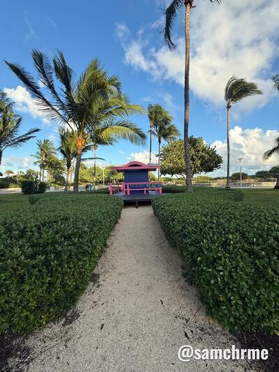 Caminho entre sebes até a torre de salva-vidas azul e rosa de GTA 6 no Lummus Park, Miami Beach